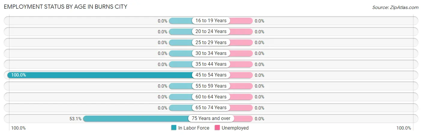 Employment Status by Age in Burns City