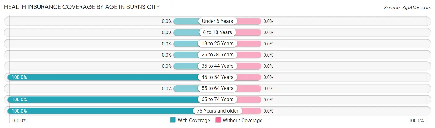 Health Insurance Coverage by Age in Burns City