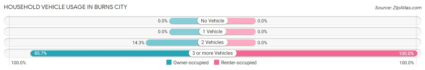 Household Vehicle Usage in Burns City