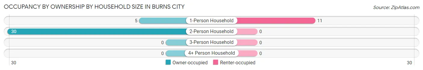 Occupancy by Ownership by Household Size in Burns City