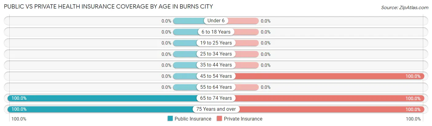 Public vs Private Health Insurance Coverage by Age in Burns City