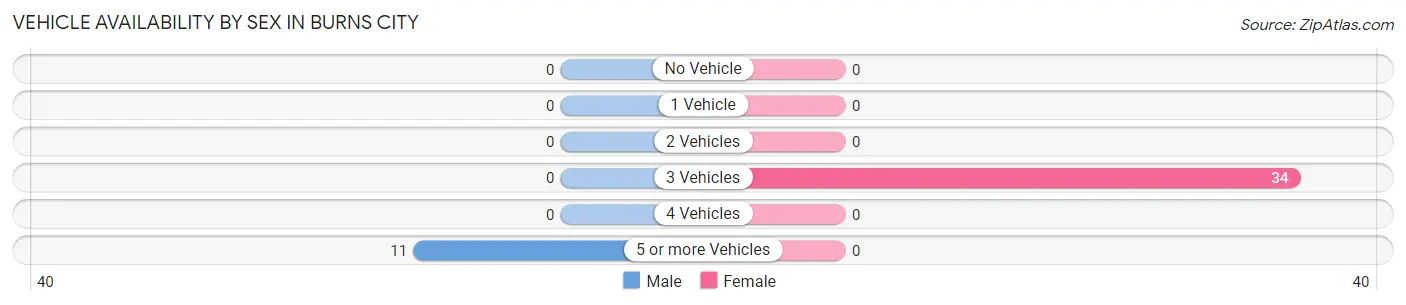 Vehicle Availability by Sex in Burns City