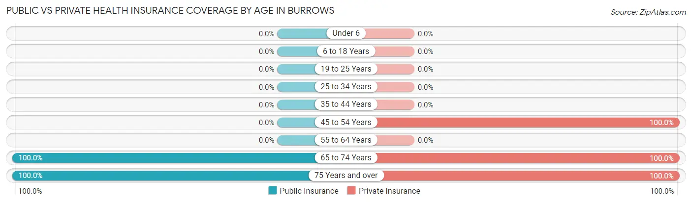 Public vs Private Health Insurance Coverage by Age in Burrows