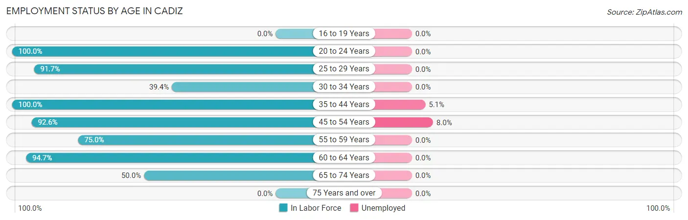 Employment Status by Age in Cadiz
