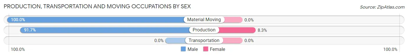 Production, Transportation and Moving Occupations by Sex in Cadiz