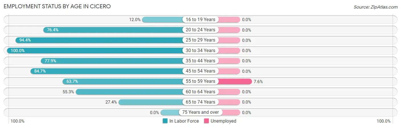 Employment Status by Age in Cicero