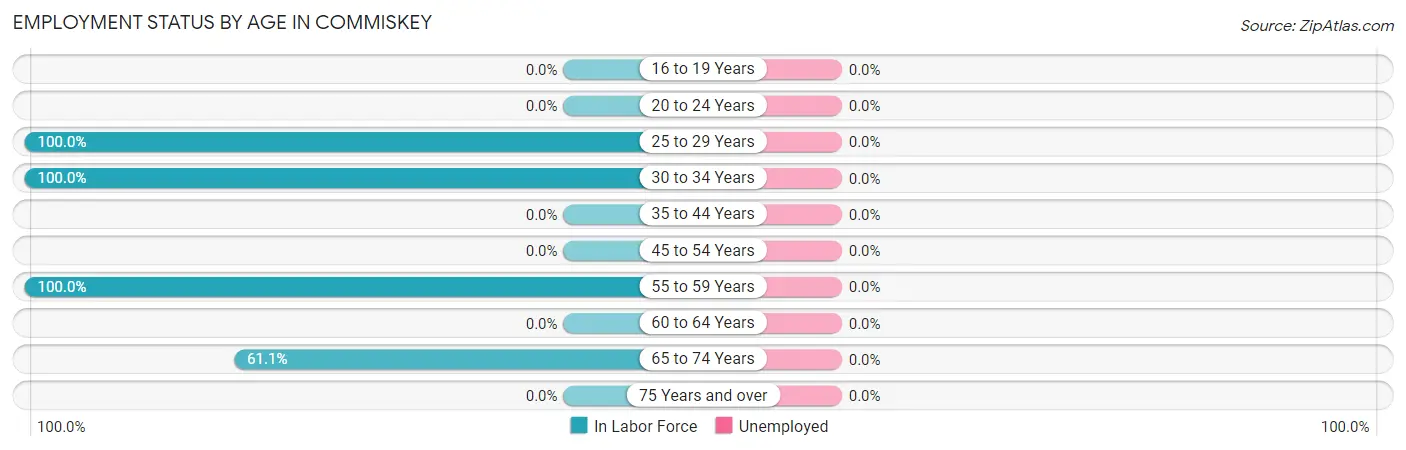 Employment Status by Age in Commiskey