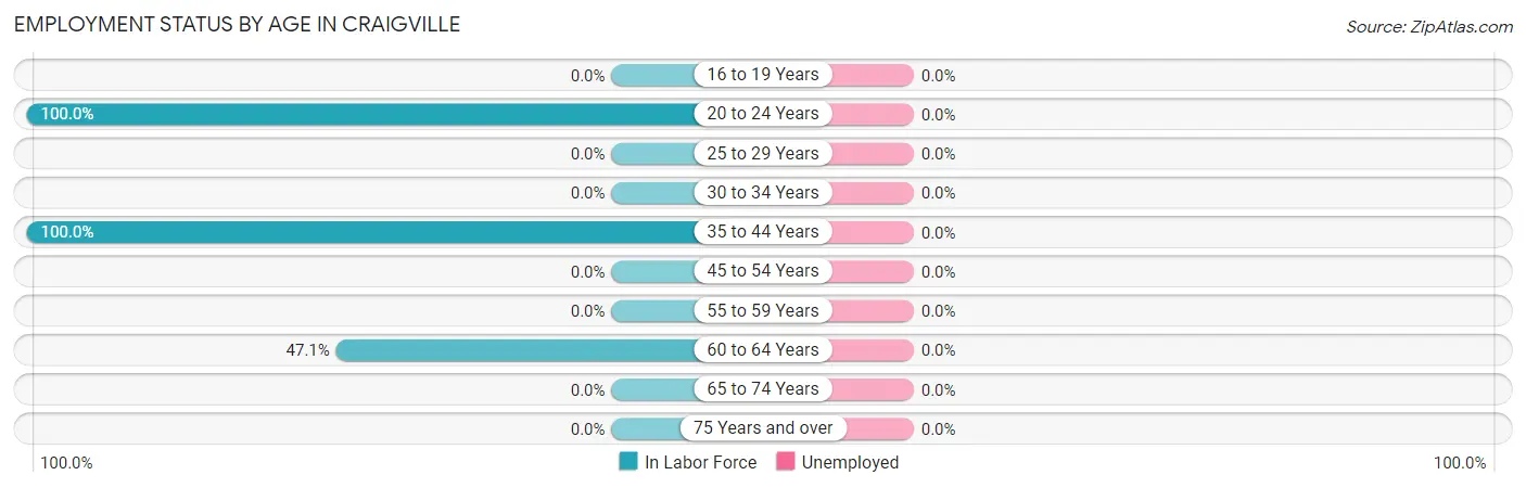 Employment Status by Age in Craigville