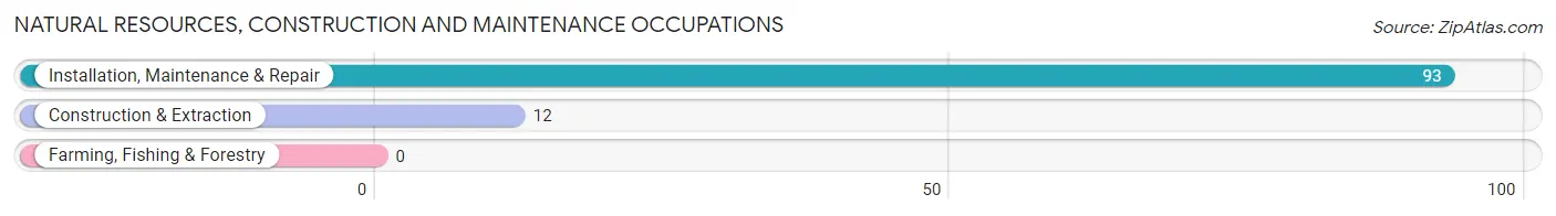 Natural Resources, Construction and Maintenance Occupations in De Motte