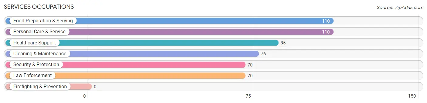 Services Occupations in De Motte