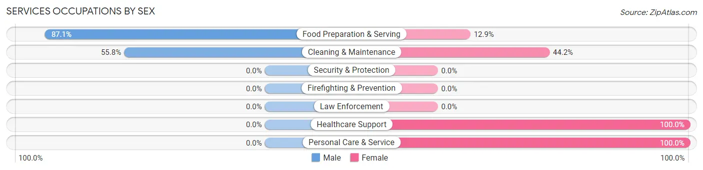 Services Occupations by Sex in Decatur