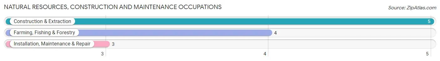 Natural Resources, Construction and Maintenance Occupations in Decker