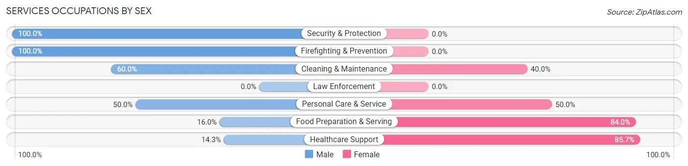 Services Occupations by Sex in Denver