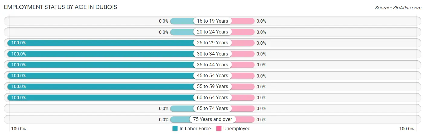 Employment Status by Age in Dubois