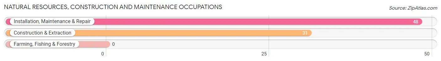 Natural Resources, Construction and Maintenance Occupations in Eaton