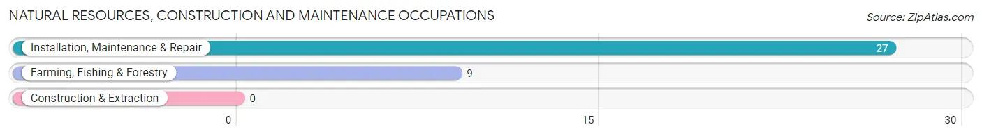 Natural Resources, Construction and Maintenance Occupations in Enchanted Hills