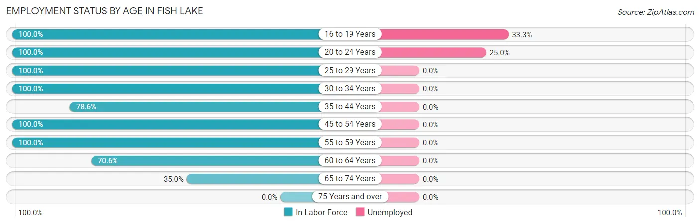 Employment Status by Age in Fish Lake