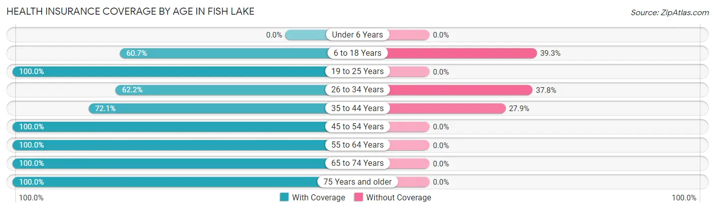 Health Insurance Coverage by Age in Fish Lake