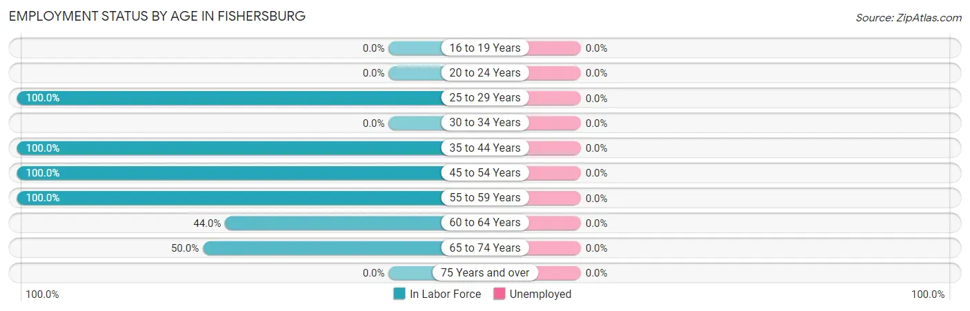 Employment Status by Age in Fishersburg