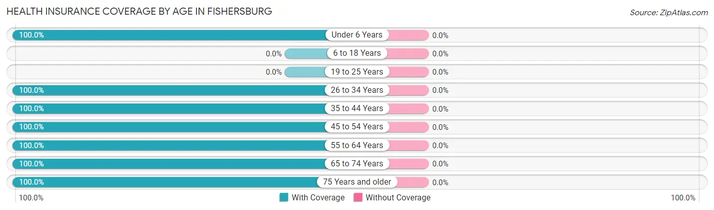 Health Insurance Coverage by Age in Fishersburg