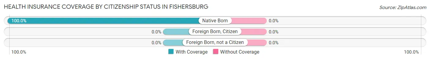 Health Insurance Coverage by Citizenship Status in Fishersburg