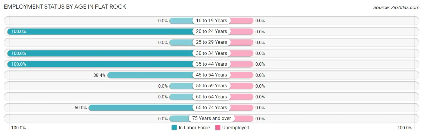 Employment Status by Age in Flat Rock