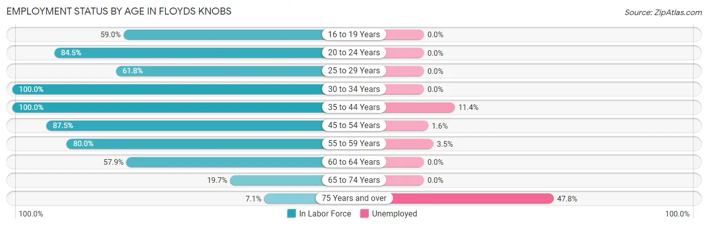 Employment Status by Age in Floyds Knobs