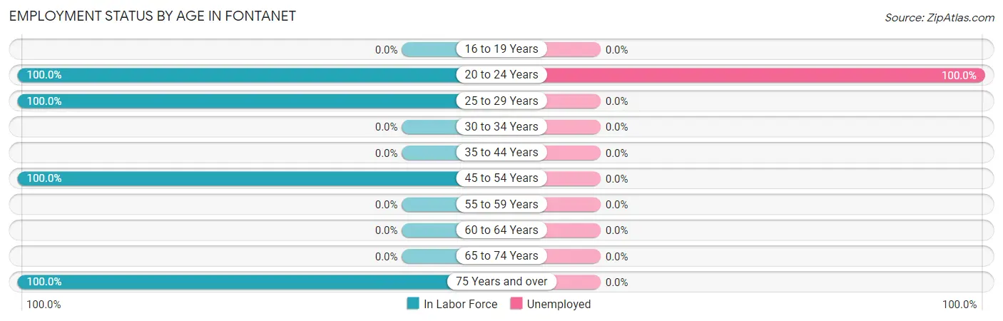 Employment Status by Age in Fontanet
