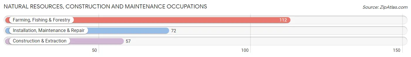 Natural Resources, Construction and Maintenance Occupations in Fort Branch