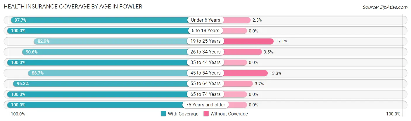 Health Insurance Coverage by Age in Fowler