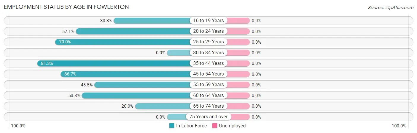 Employment Status by Age in Fowlerton