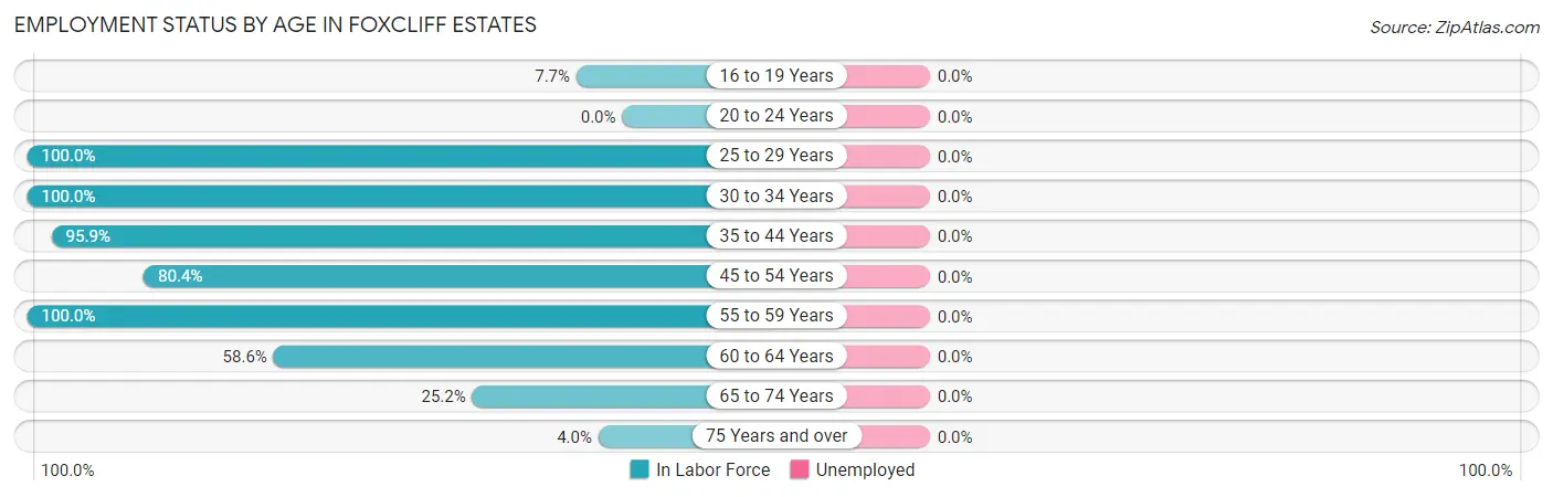 Employment Status by Age in Foxcliff Estates