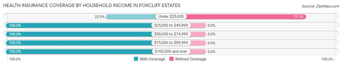 Health Insurance Coverage by Household Income in Foxcliff Estates