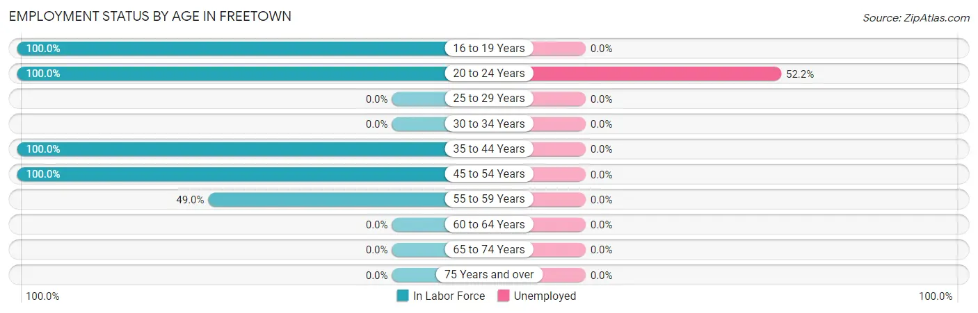 Employment Status by Age in Freetown