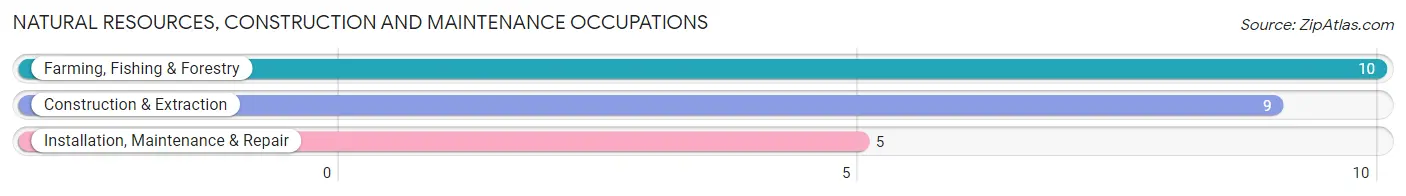 Natural Resources, Construction and Maintenance Occupations in Fulton