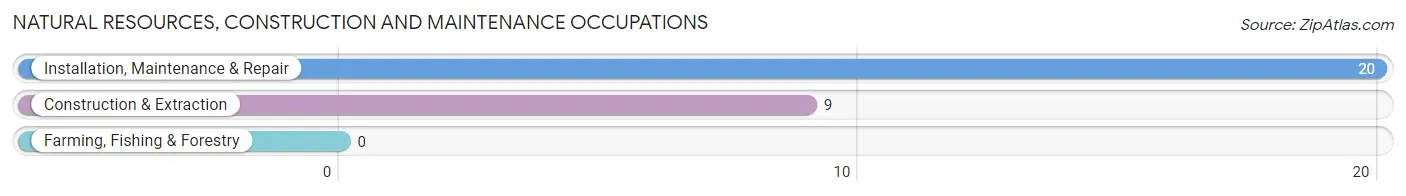 Natural Resources, Construction and Maintenance Occupations in Goodland