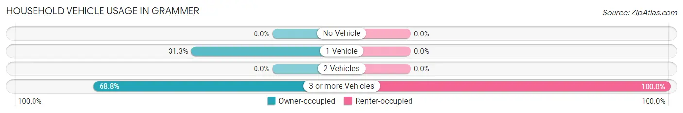Household Vehicle Usage in Grammer
