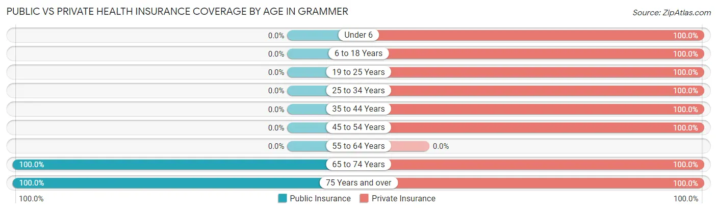 Public vs Private Health Insurance Coverage by Age in Grammer