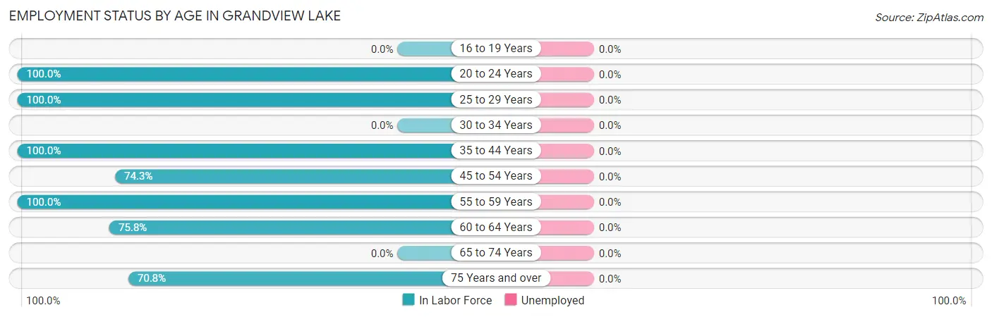 Employment Status by Age in Grandview Lake