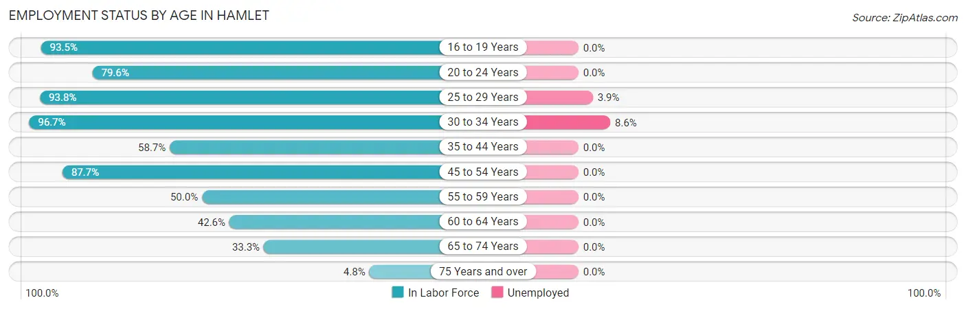 Employment Status by Age in Hamlet