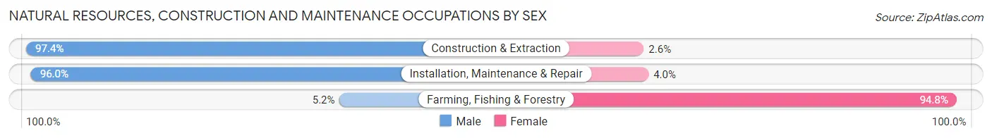 Natural Resources, Construction and Maintenance Occupations by Sex in Hammond