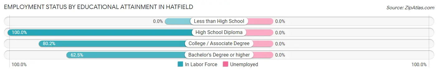 Employment Status by Educational Attainment in Hatfield