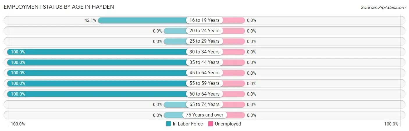 Employment Status by Age in Hayden