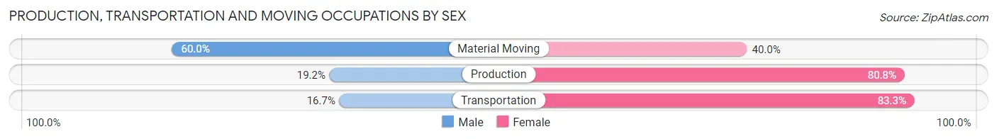 Production, Transportation and Moving Occupations by Sex in Hazleton