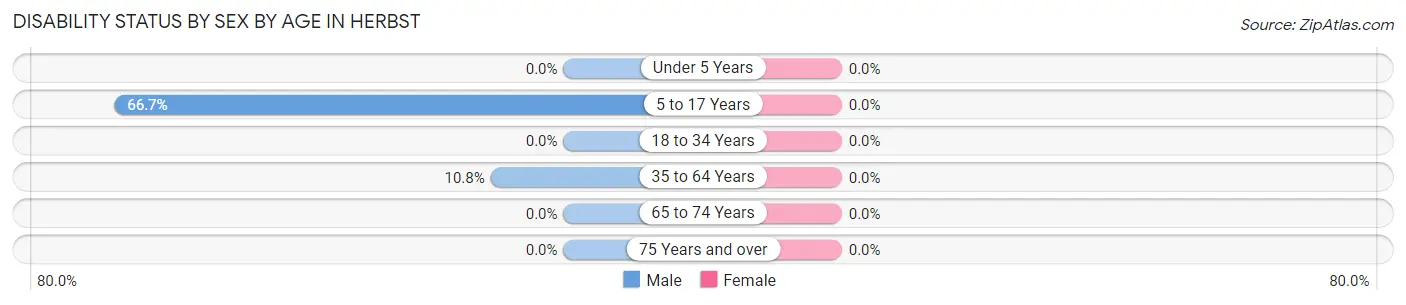 Disability Status by Sex by Age in Herbst