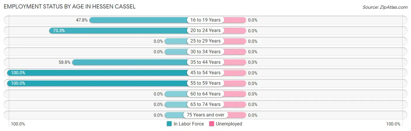 Employment Status by Age in Hessen Cassel