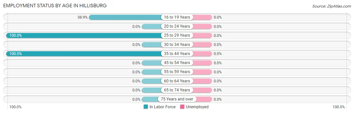 Employment Status by Age in Hillisburg