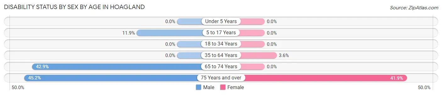 Disability Status by Sex by Age in Hoagland