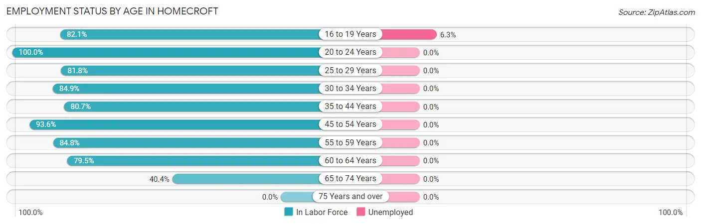 Employment Status by Age in Homecroft