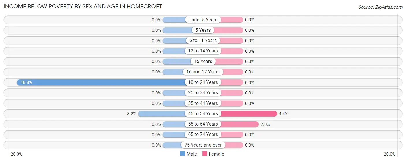 Income Below Poverty by Sex and Age in Homecroft